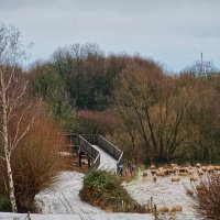 2.01.2026 Вчера под вечерок выпал снег... :: Jakob Dick 2.01.2026 Вчера под вечерок выпал снег... :: Jakob Dick