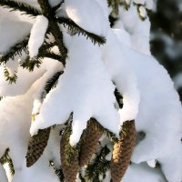 Зимний этюд :: Александр Сансар Зимний этюд :: Александр Сансар