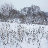 Предновогодний пейзаж :: Сергей Курников Предновогодний пейзаж :: Сергей Курников