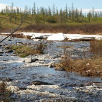 ЯМАЛ :: Tata Wolf ЯМАЛ :: Tata Wolf