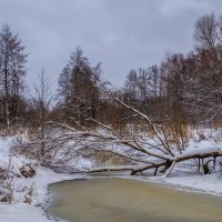 Перед новым годом 3 :: Андрей Дворников Перед новым годом 3 :: Андрей Дворников