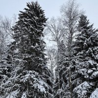 Портал в зимнюю сказку :: Любовь 