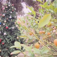 13  ОПЕН (798) :: OPEN WAYS ALL