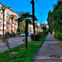 Улица 50 лет СССР. Хоста :: Mikhail Irtyshskiy