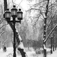 Первый день 2026 года. Черно-белая фотография :: Любимова Ольга 