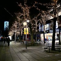 Рождество в Штутгарте - 14 :: Алексей Кузнецов