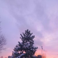 Рассвет :: Сапсан 