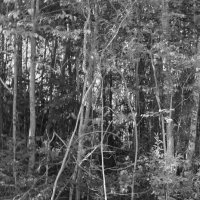 Фотография :: Денис Безногов