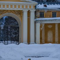 Мандарины на снегу :: Наталья Rosenwasser Мандарины на снегу :: Наталья Rosenwasser