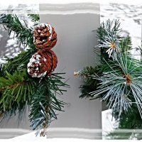 Веточки :: Veera V