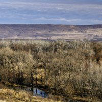 Окрестности! :: Игорь Сикорский Окрестности! :: Игорь Сикорский