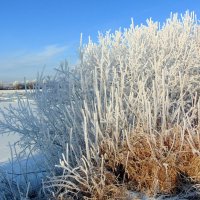 У самой воды. :: nadyasilyuk Вознюк У самой воды. :: nadyasilyuk Вознюк