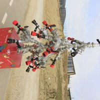 Ёлка МЧС :: Геннадий Валеев Ёлка МЧС :: Геннадий Валеев