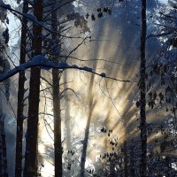 Солнечный фейерверк :: Галина Нестратова