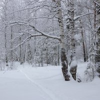 *** :: Андрей Дурапов