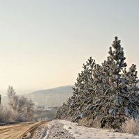 Морозное утро нового года... :: Андрей Заломленков Морозное утро нового года... :: Андрей Заломленков