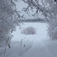 *** :: Андрей Дурапов