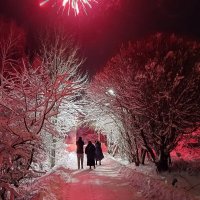 В новогоднюю ночь... :: Ирина *