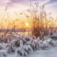 На закате :: Ирина 