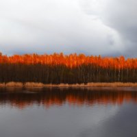 Вечер на Нерли :: svk * Вечер на Нерли :: svk *