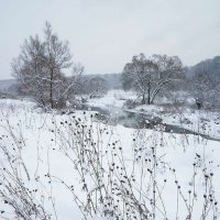Предновогодний пейзаж :: Сергей Курников Предновогодний пейзаж :: Сергей Курников