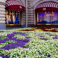 На Красной площади :: Игорь Белоногов