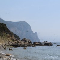 Природа Крыма :: Amazing Cosmea