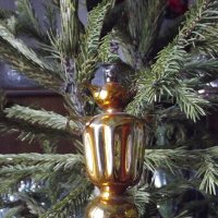 На новогодней ёлочке :: Freddy 97