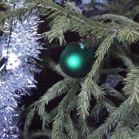 На новогодней ёлочке :: Freddy 97
