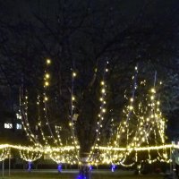 Новогоднее :: PRP 