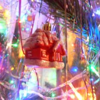 Новая игрушка... :: Наталья 