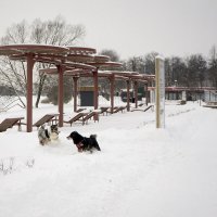 "Простые картинки" :: Владимир Носов