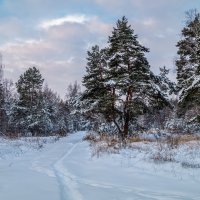 Первые дни нового года :: Андрей Дворников
