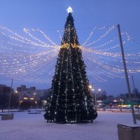 Ёлка :: Сапсан 