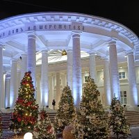 новогоднее украшение :: Галина R...