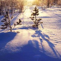 Декабрь...За городом минус 40! :: Владимир 