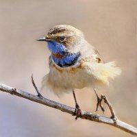 На семи ветрах :: Михаил Белоусов На семи ветрах :: Михаил Белоусов