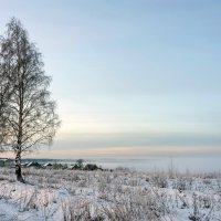 Январский пейзаж :: Валерий Иванович Январский пейзаж :: Валерий Иванович