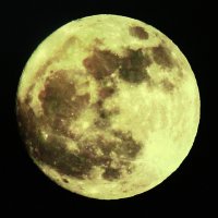 Полнолуние :: Людмила Смородинская Полнолуние :: Людмила Смородинская