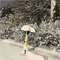 Бедный одинокий самокат. :: Валерия Комова