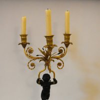 Московская область. Музей-заповедник усадьба «Остафьево». :: Наташа *****