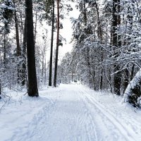 Зимний пейзаж :: Милешкин Владимир Алексеевич Зимний пейзаж :: Милешкин Владимир Алексеевич