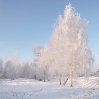 Нежность рассвета :: Марина Фомина.