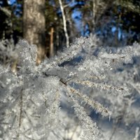 Кристаллы зимы. :: Сергей Адигамов Кристаллы зимы. :: Сергей Адигамов