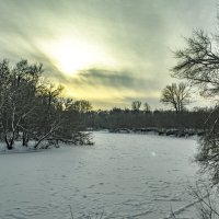 Зимняя прогулка :: Дмитрий Кутепов