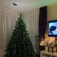 Счастливого нового года и Рождества :: Ирэн 