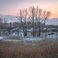"Камыши в ледяной заводи. На исходе короткого дня"© :: Владимир Макаров "Камыши в ледяной заводи. На исходе короткого дня"© :: Владимир Макаров