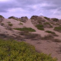 Дюны :: Натали 