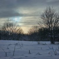 Морозный день :: Мария Яковлева