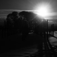 Низкое январское солнце. :: Василий Палий Низкое январское солнце. :: Василий Палий